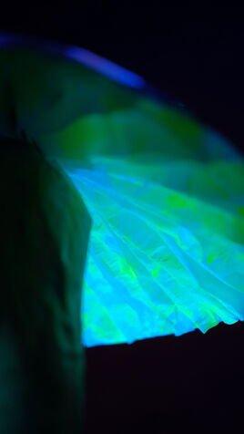 Leuchtende Pilz Skulptur mit flachem, blauem Hut und Augen im UV-Licht