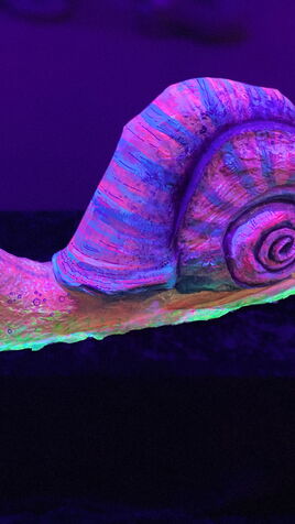 Eine Weinbergschnecke aus Recyclingmaterial im UV-Licht