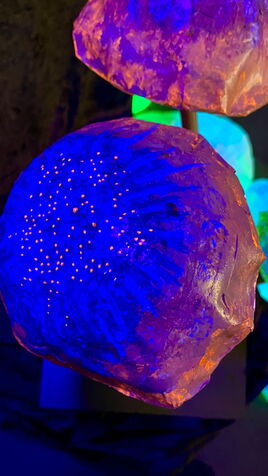 Leuchtende Pilz Skulptur im UV-Licht