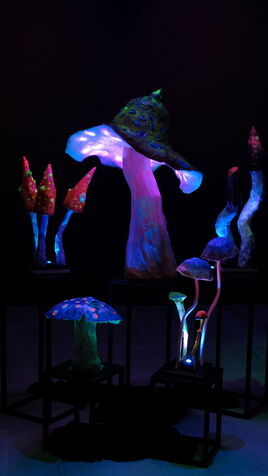 Leuchtende Pilz Skulpturen im UV-Licht